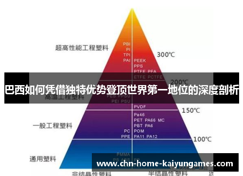 巴西如何凭借独特优势登顶世界第一地位的深度剖析