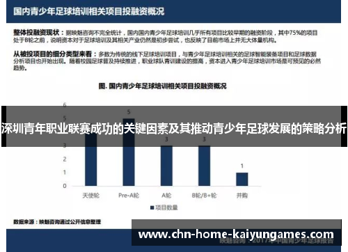 深圳青年职业联赛成功的关键因素及其推动青少年足球发展的策略分析