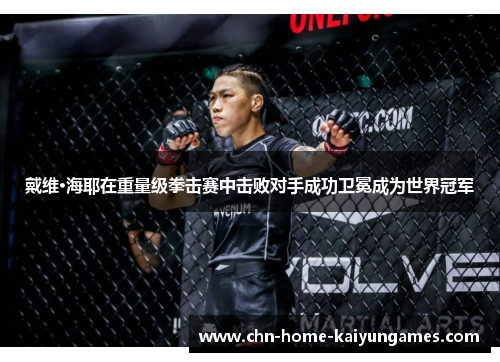 戴维·海耶在重量级拳击赛中击败对手成功卫冕成为世界冠军