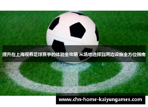 提升在上海观看足球赛事的体验全攻略 从场地选择到周边设施全方位指南