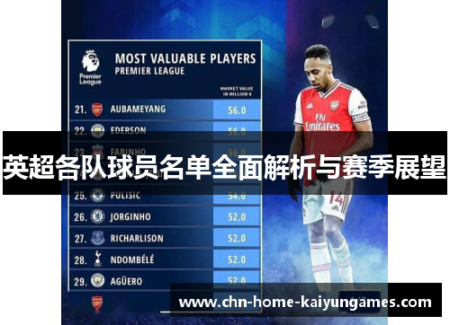 英超各队球员名单全面解析与赛季展望